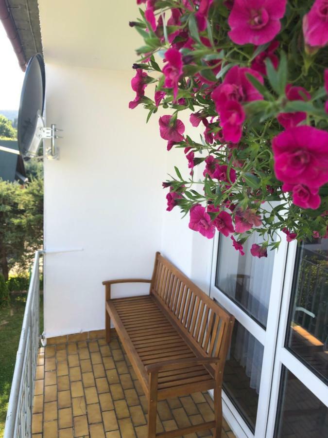 Apartament U Gogoca Tylicz Esterno foto